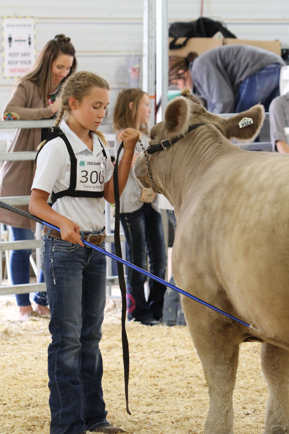 PHOTOS: Market Beef Show 2020